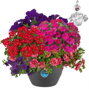 Afbeelding van Hp27 multi Mix 05